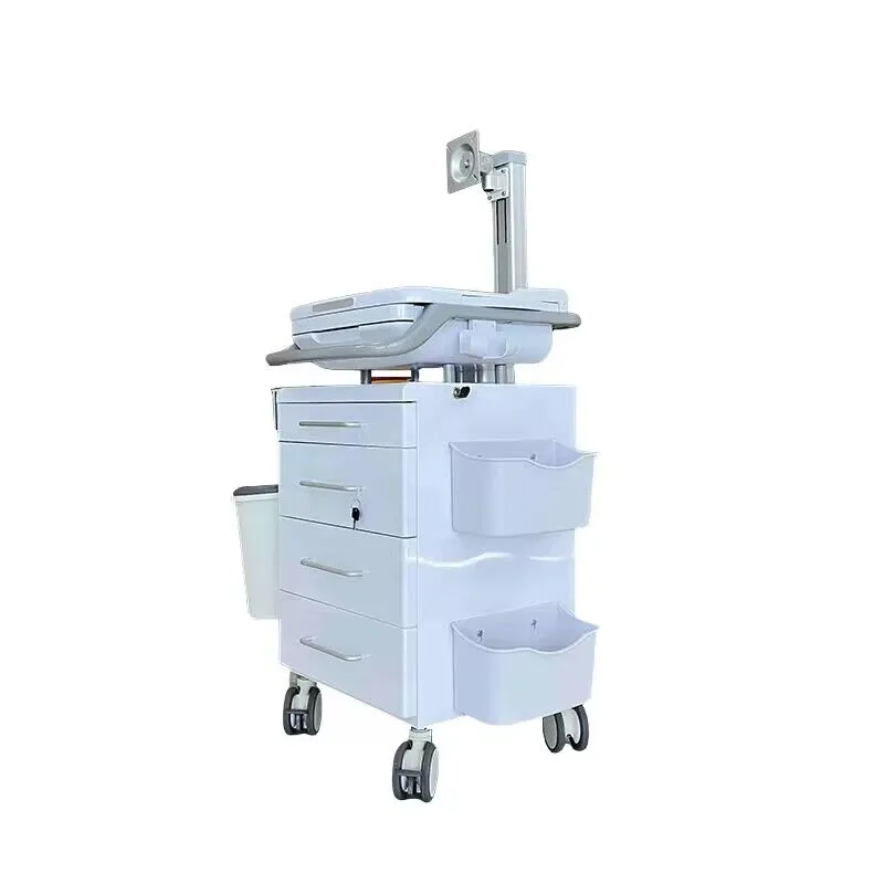 럭셔리 정보 검사 차량